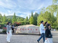 -习家池