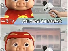 -绿树电竞(五路店)