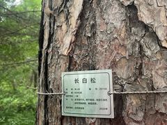 -美人松苑