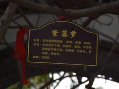 -牟氏庄园
