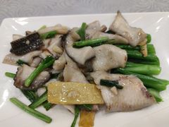 姜葱炒生鱼片-粤·向群饭店(龙津东路总店)