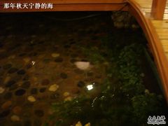 水景-松子料理(亮马桥店)