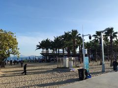 -大梅沙海滨公园