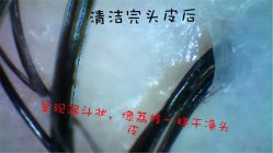 -时尚玩家发型设计