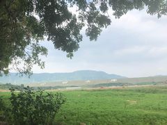 -光明小镇欢乐田园