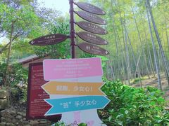 -宁波浙东大竹海景区
