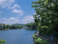 -济州森林小火车生态公园