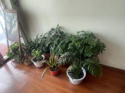 -福润堂小儿推拿保健中心(北京密云店)