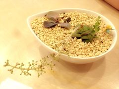 iphone_upload_pic-醒味咖啡馆(南市桥巷店)