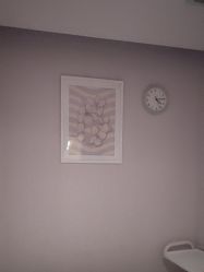 -SILKTONE诗丽堂美容