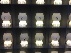 -line friends(明洞旗舰店)