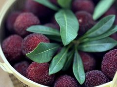 -海底捞火锅(杭州萧山宝龙广场店)