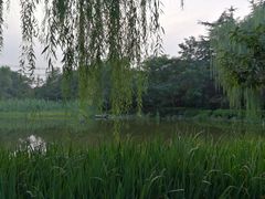 -木塔寺遗址生态公园