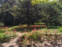 -杭州植物园