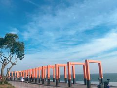 -漳州滨海火山岛自然生态风景区