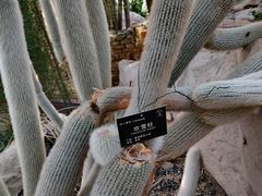 -北京植物园-展览温室