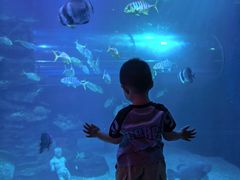 -太平洋海底世界