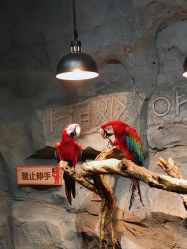 -Zoolung Zoolung动物主题公园(海信广场店)