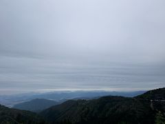 -玉苍山国家森林公园