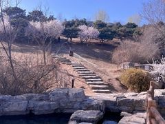 -北京西山国家森林公园