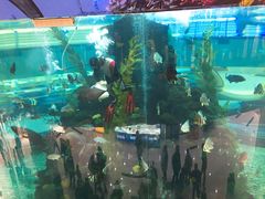 -鸿通城购物中心