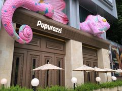 -帕帕拉兹宠物(亚洲旗舰店)