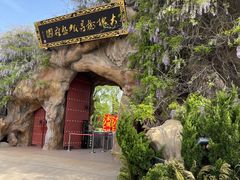 -大槐树寻根祭祖园