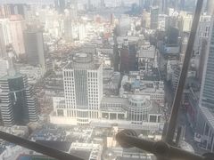 -上海新世界丽笙大酒店旋景餐厅(人民广场店)