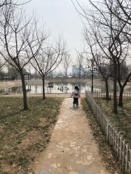 -上美四季动物农场