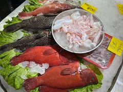 -有腥气私房菜·寻味顺德