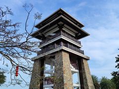 -大湾区中央湿地公园