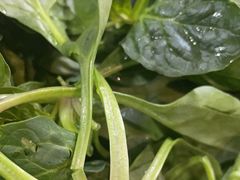 -欣悦坊陈一刀热气羊肉火锅(清真路店)