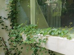 -绿房子方寸咖啡(星海名城店)
