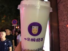 -一只酸奶牛(八一路店)