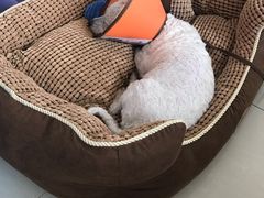 -骐奇宠物诊疗中心(南亭公路店)