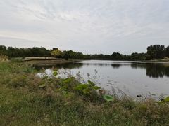 -东郊湿地公园
