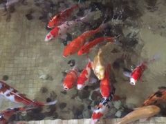 -南通大饭店(老楼)
