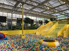 -南宫五洲植物乐园