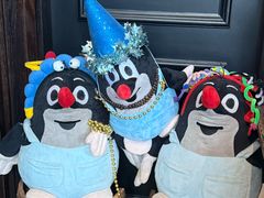 -布拉格餐厅· 中欧捷克菜(全国首店)