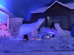 -世界之窗阿尔卑斯冰雪世界