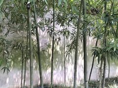 -拙政园
