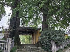 -莫干山风景区