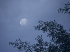 -TheRink大零溜冰场(IFS国金中心店)