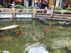 -华林国际玉器城(康王中路)