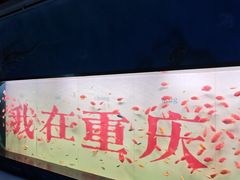 -重庆欢乐海底世界