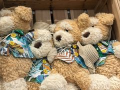 -TOYSRUS玩具反斗城(苏州中心店)