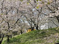 -苏州上方山国家森林公园