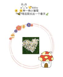 -MASTER 男士发型设计