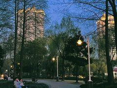 -新虹桥中心花园