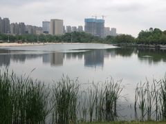 -滨湖塘西河公园